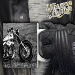 Harley Davidson, moto, bike, мото, мотоцикл